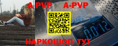 СК Волгодонск
