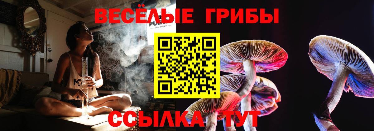 Дивногорск  Псилоцибиновые грибы мухоморы  Вход с VPN 